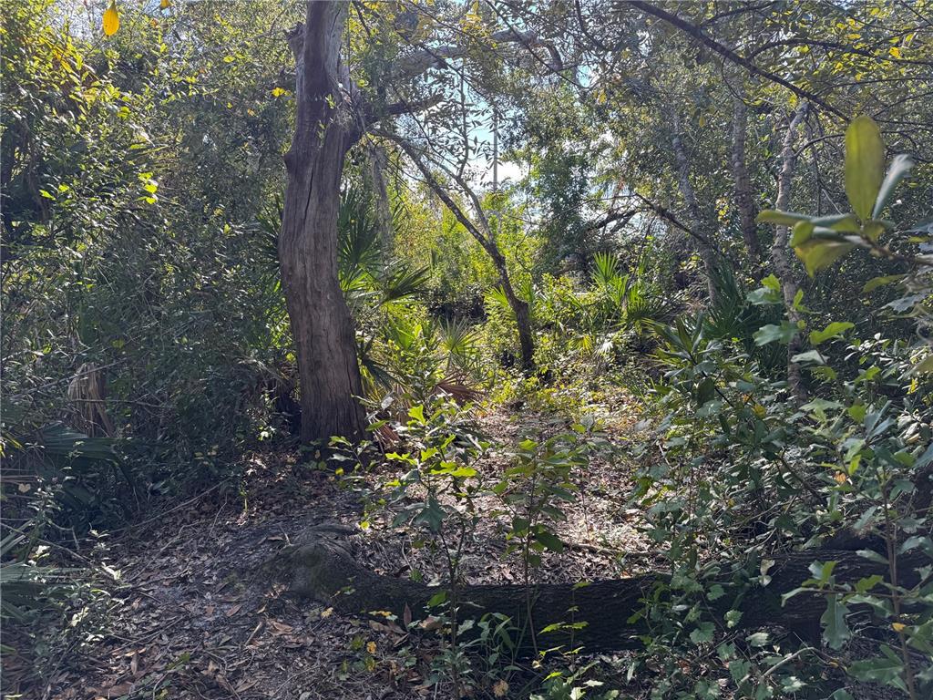 Upper Manatee River Road Bradenton, FL 34212 - Photo 12 of 21