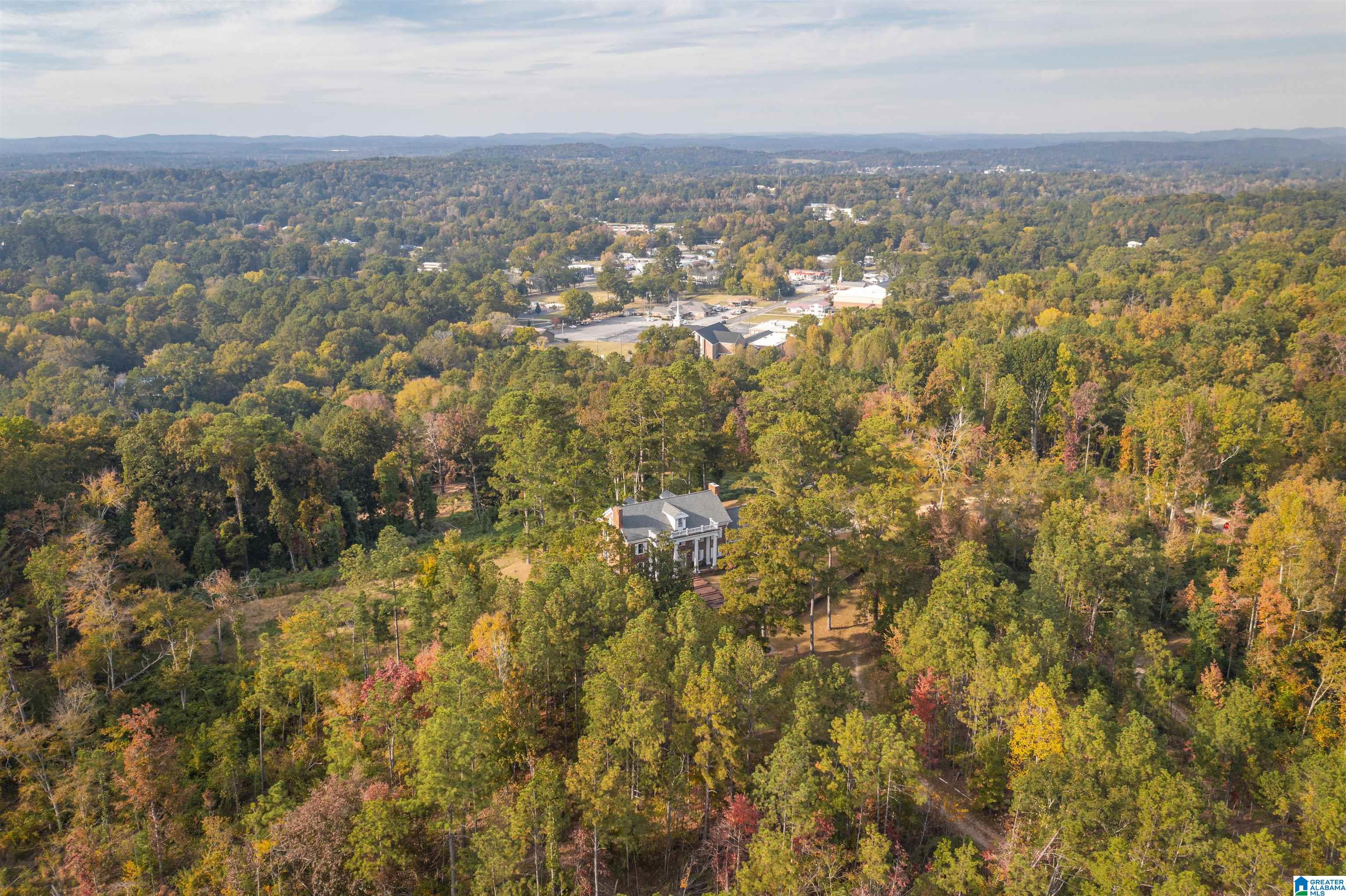 201 Cave Hill Road Weaver, AL 36277 - Photo 5 of 78