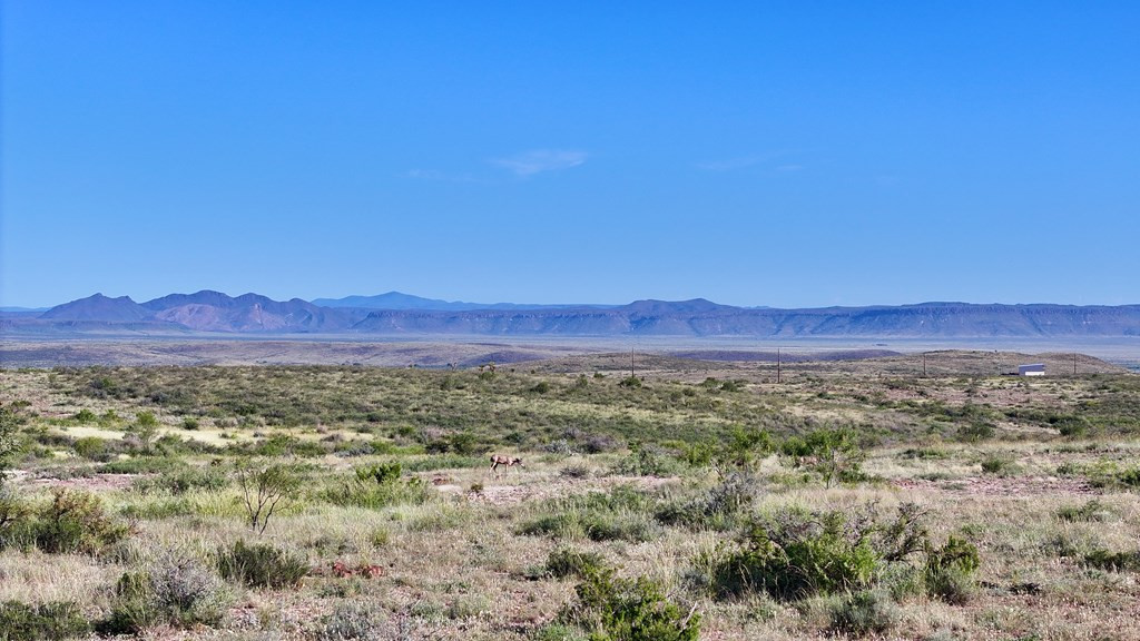 9 Sierra La Rana Alpine, TX 79830 - Photo 7 of 15 Photo 7