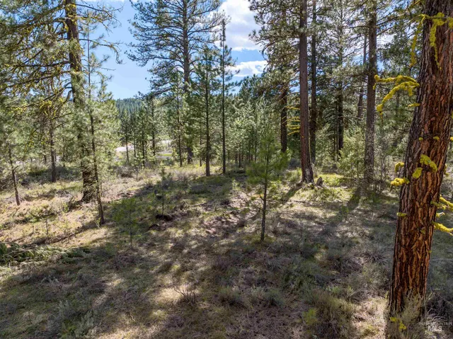 $250,000 | Lot 2 Star Creek, Idaho City, ID 83631