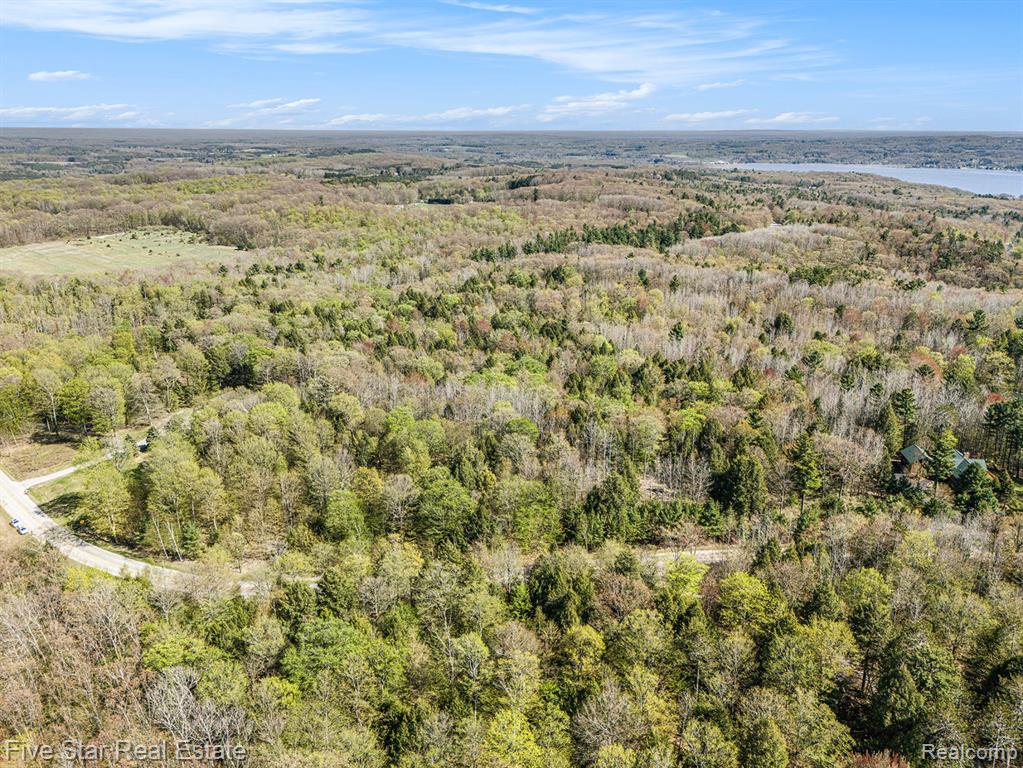 0 Smith Road Onekama, MI 49675 - Photo 7 of 23