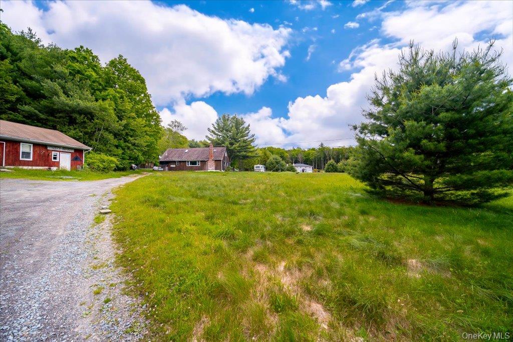 101 Red Star Road Greenfield Park, NY 12435 - Photo 6 of 50