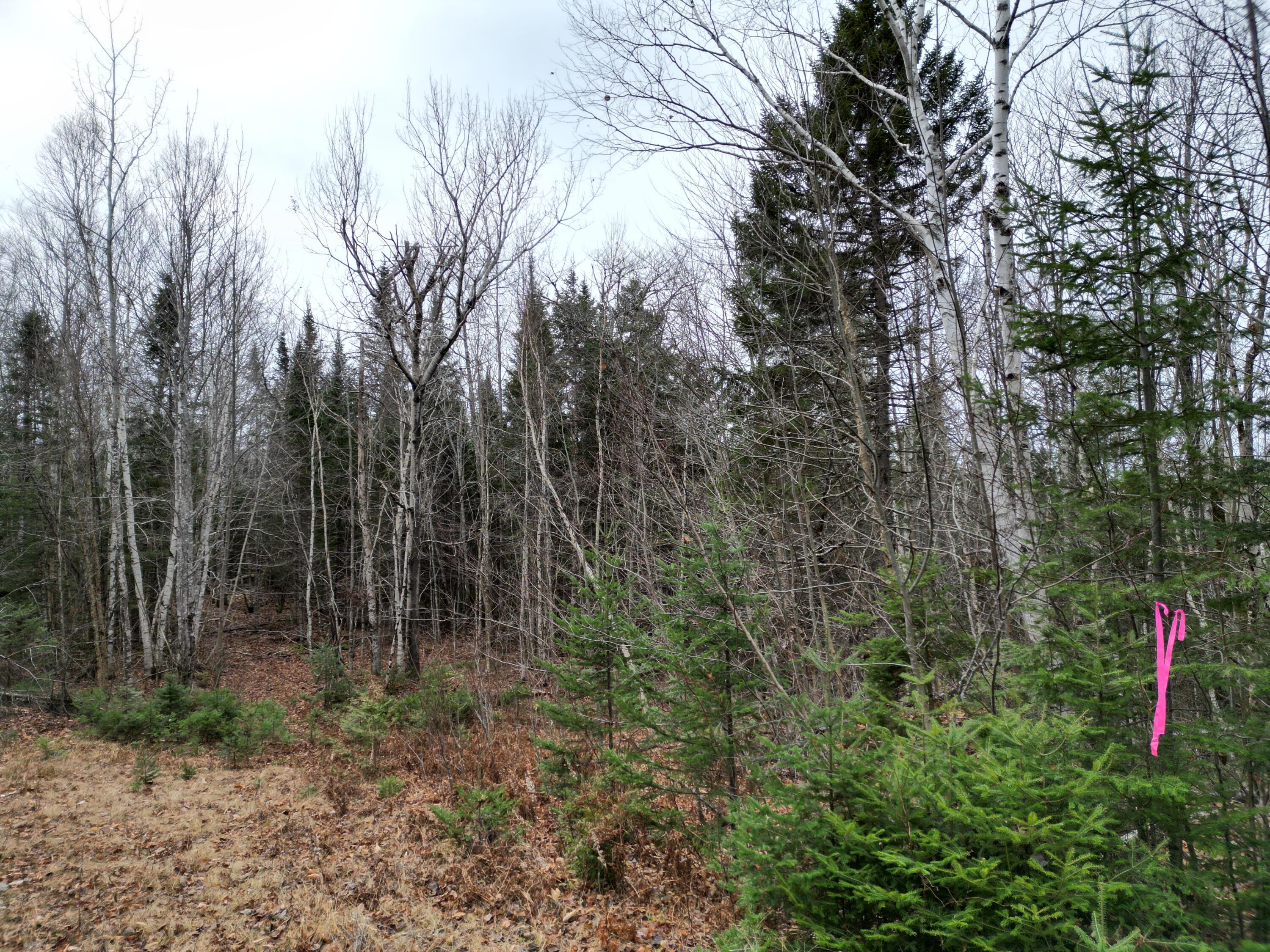 Lot 3 Freedom Way Springfield, ME 04487 - Photo 2 of 18 DJI_0972