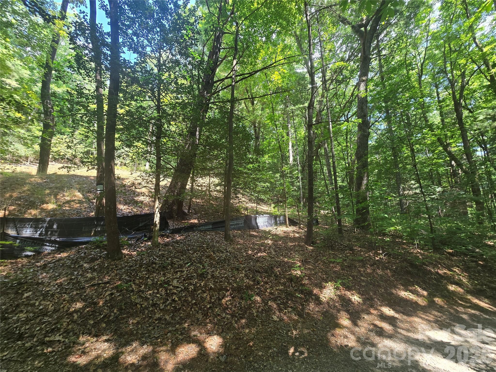 706 Highlands View Road Highlands, NC 28741 - Photo 7 of 10