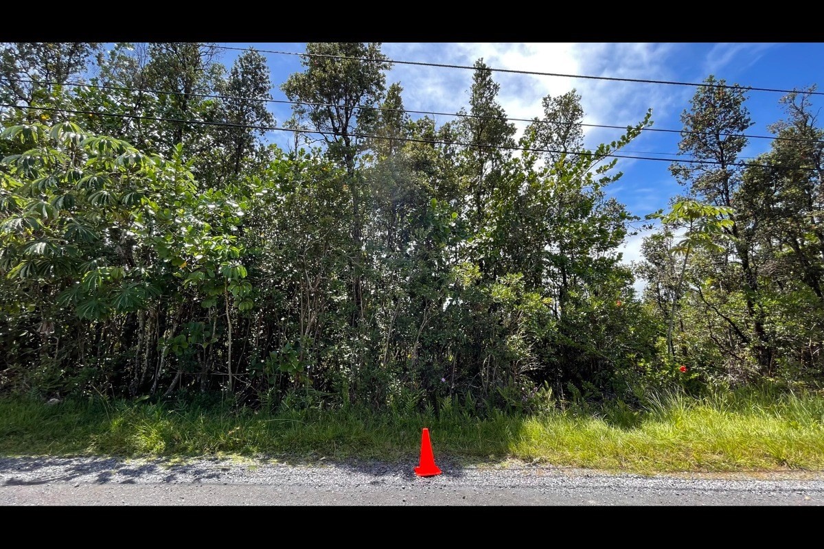 96 Ama U Road Keaau, HI 96749 - Photo 4 of 16 Gallery Image 4