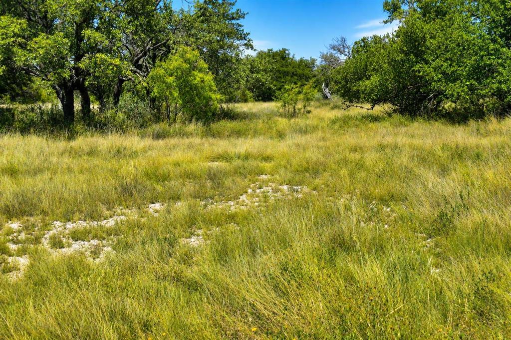 129 Big Buck Run Road Fort McKavett, TX 76841 - Photo 10 of 21 Gallery Image 10
