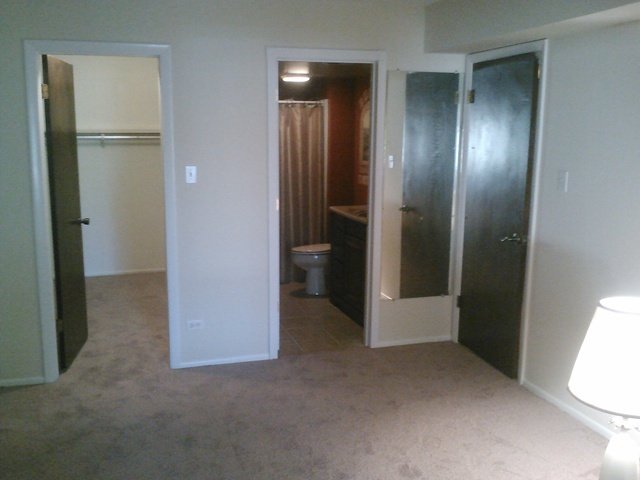 11136 NW Road, Unit A Palos Hills, IL 60465 - Photo 6 of 14