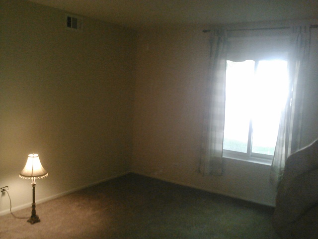 11136 NW Road, Unit A Palos Hills, IL 60465 - Photo 8 of 14