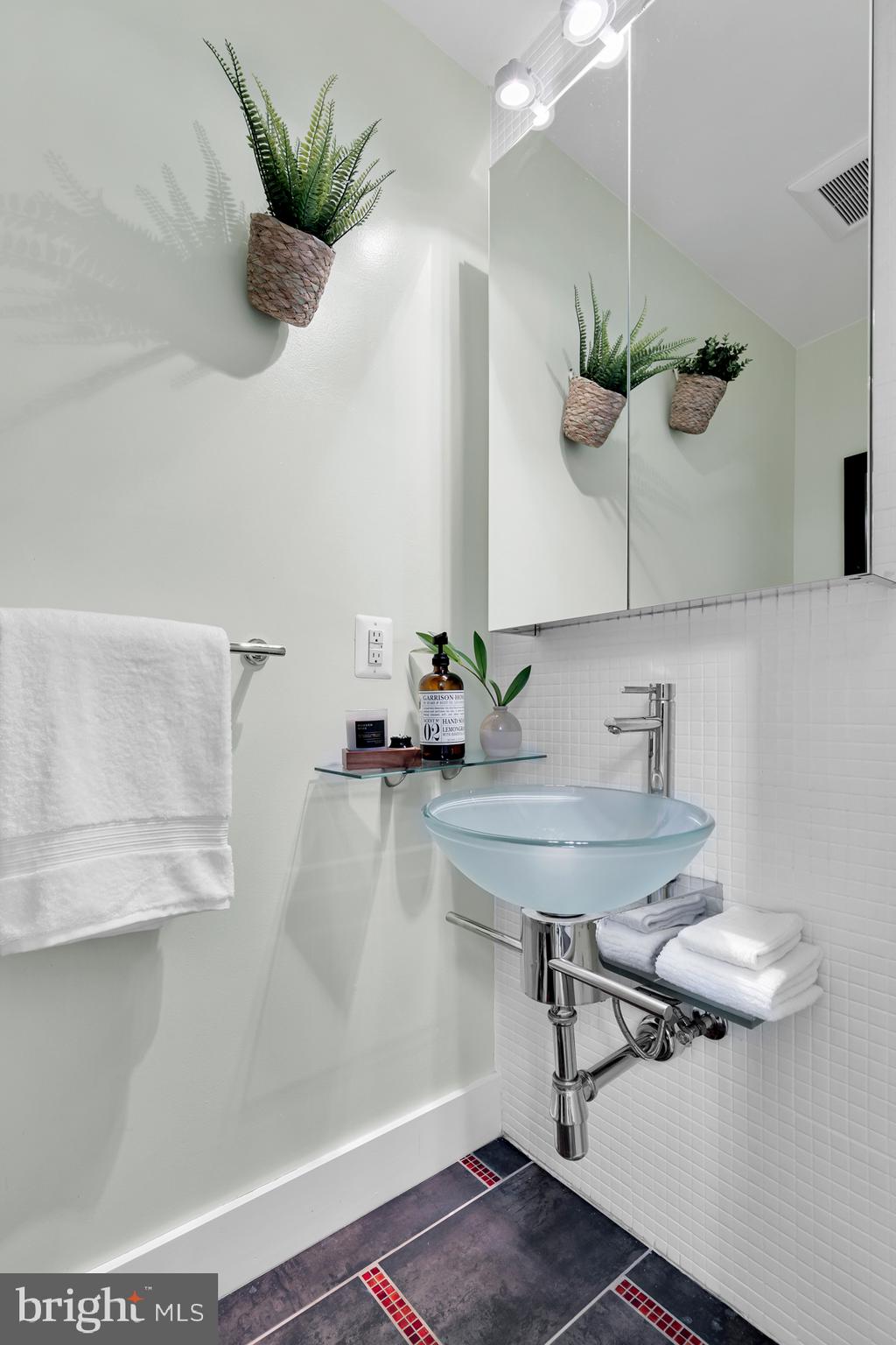 801 Q Street Northwest, Unit 1 Washington, DC 20001 - Photo 7 of 39 a bathroom with a sink a mirror and a potted plant