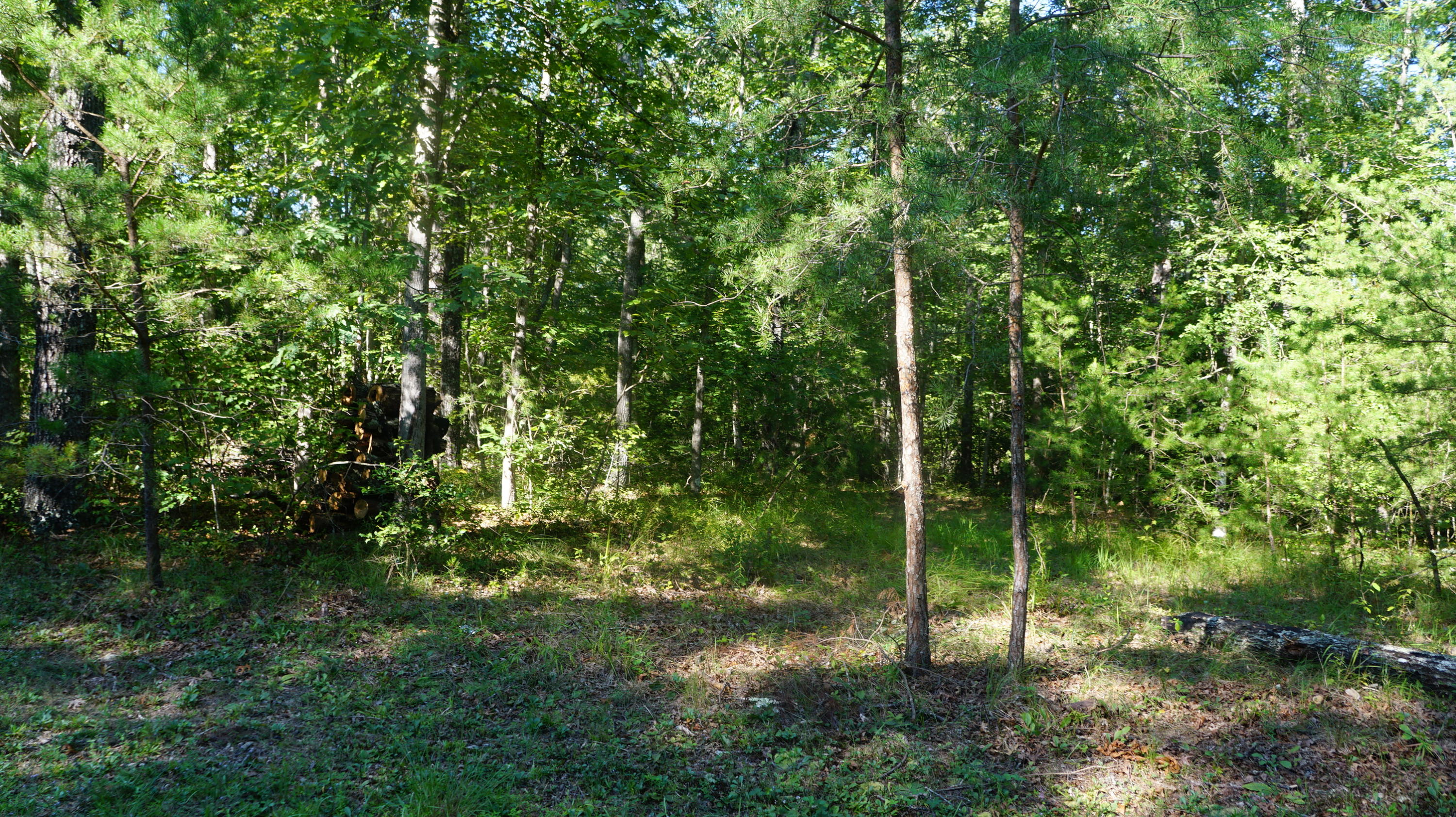 4-acres Browder Point Monterey, TN 38574 - Photo 1 of 21 4 Acres, Golf Community
