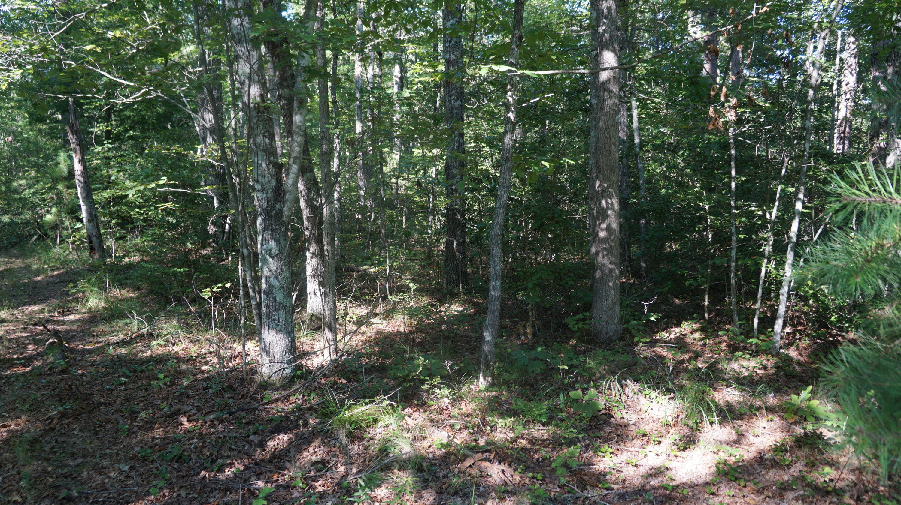 4-acres Browder Point Monterey, TN 38574 - Photo 2 of 21 Great Home Site Locations