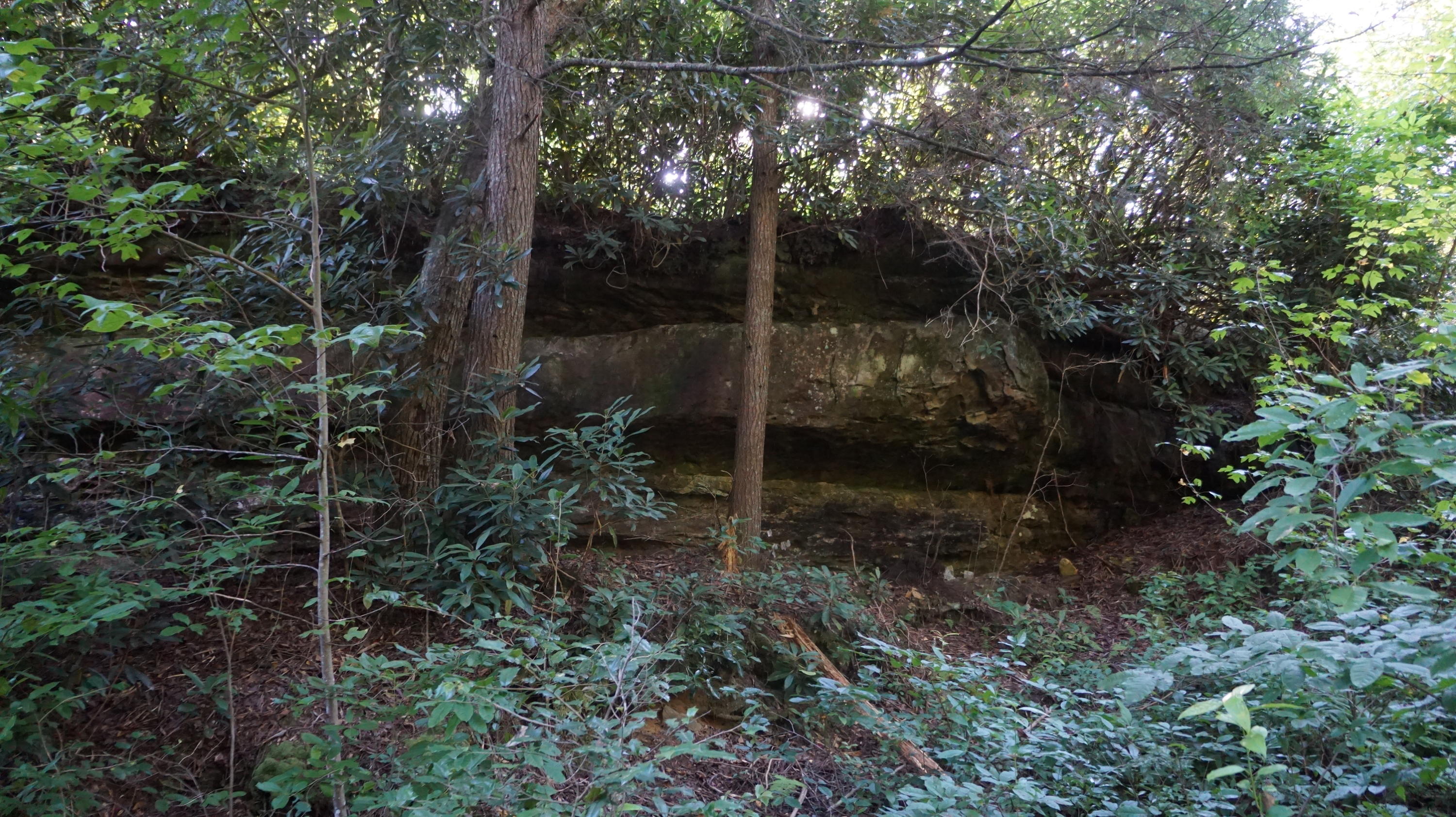 4-acres Browder Point Monterey, TN 38574 - Photo 11 of 21 Rock Outcroppings (4)