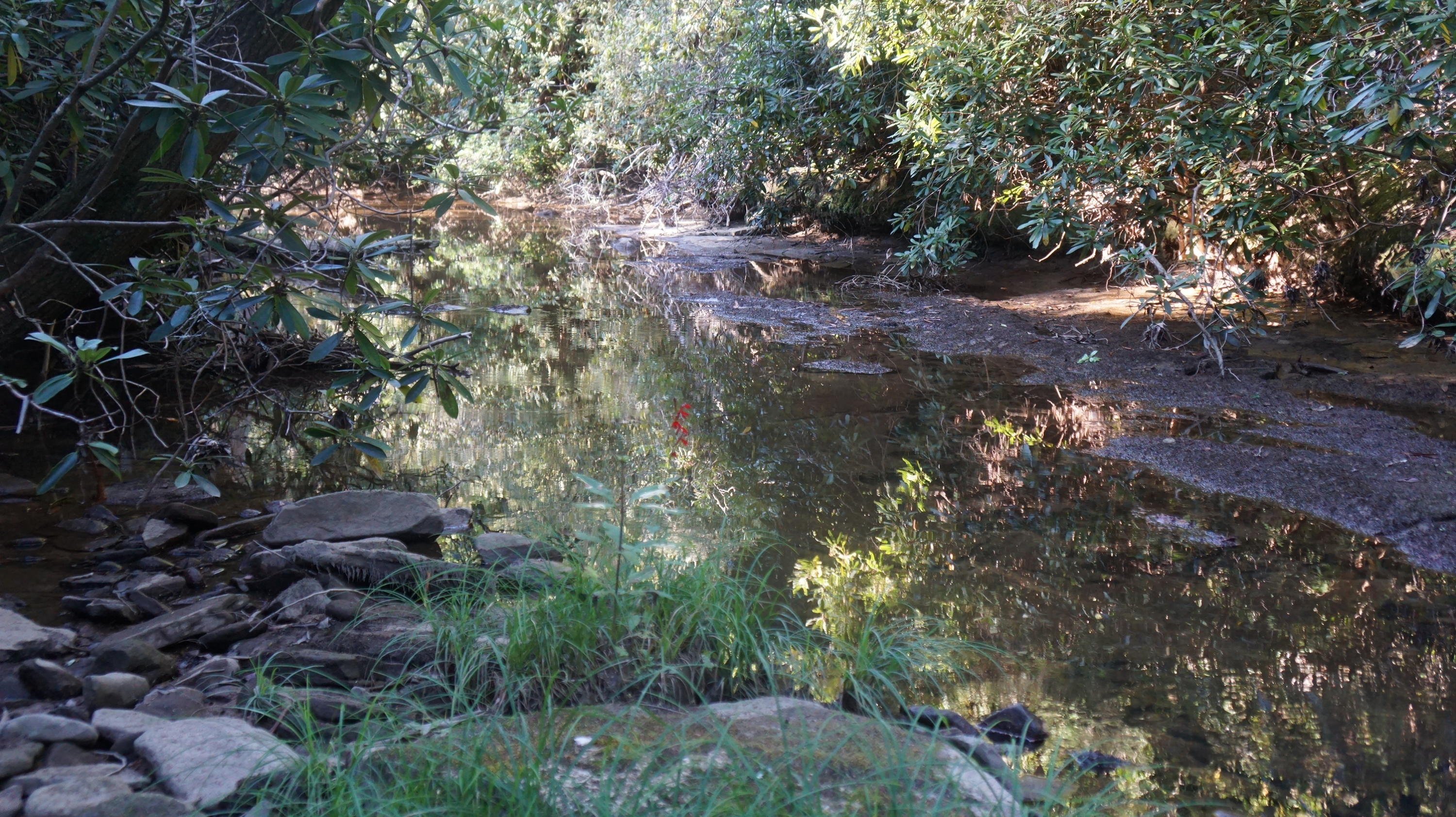 4-acres Browder Point Monterey, TN 38574 - Photo 14 of 21 Creek (3)