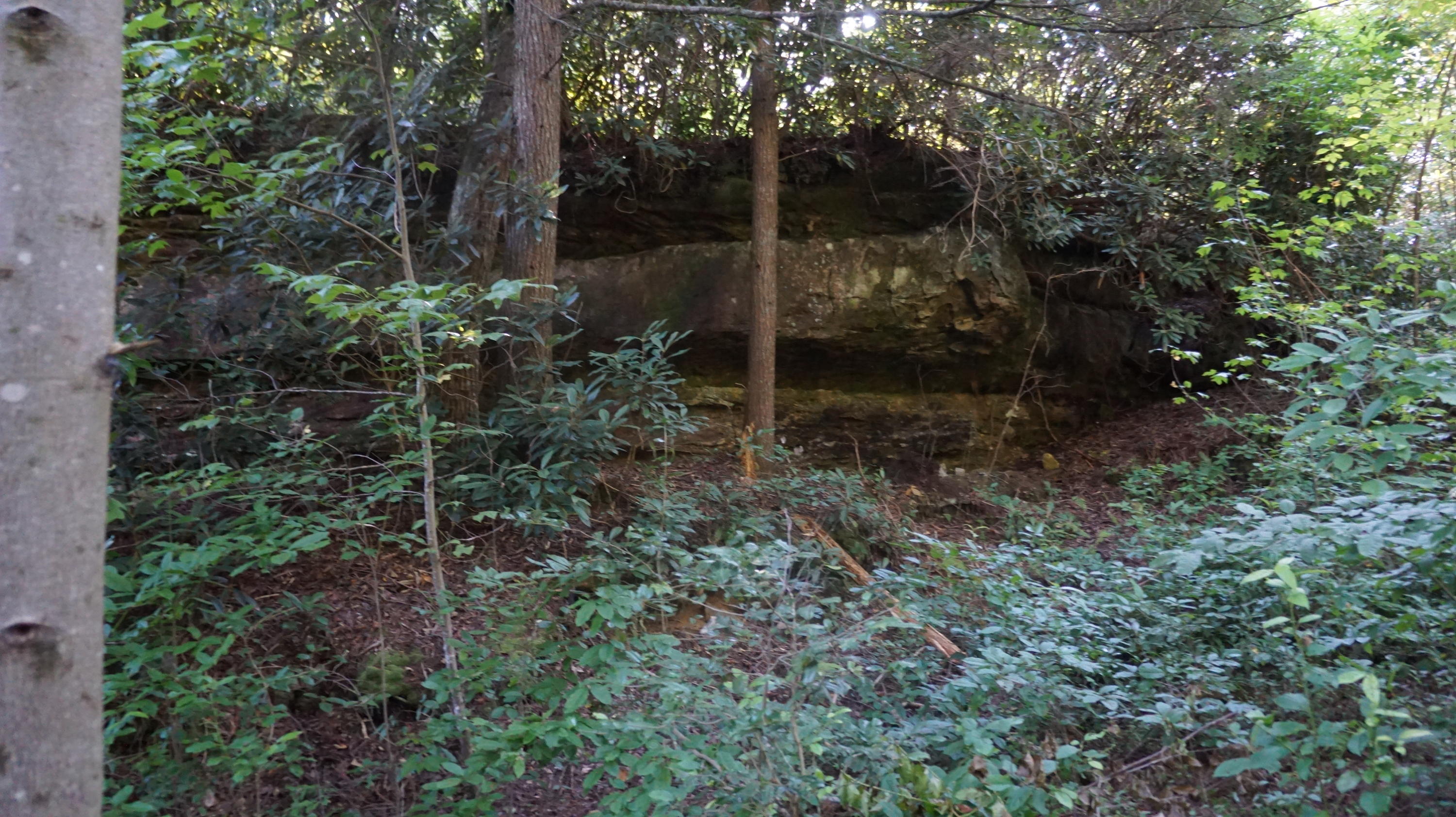 4-acres Browder Point Monterey, TN 38574 - Photo 16 of 21 Rock Outcroppings