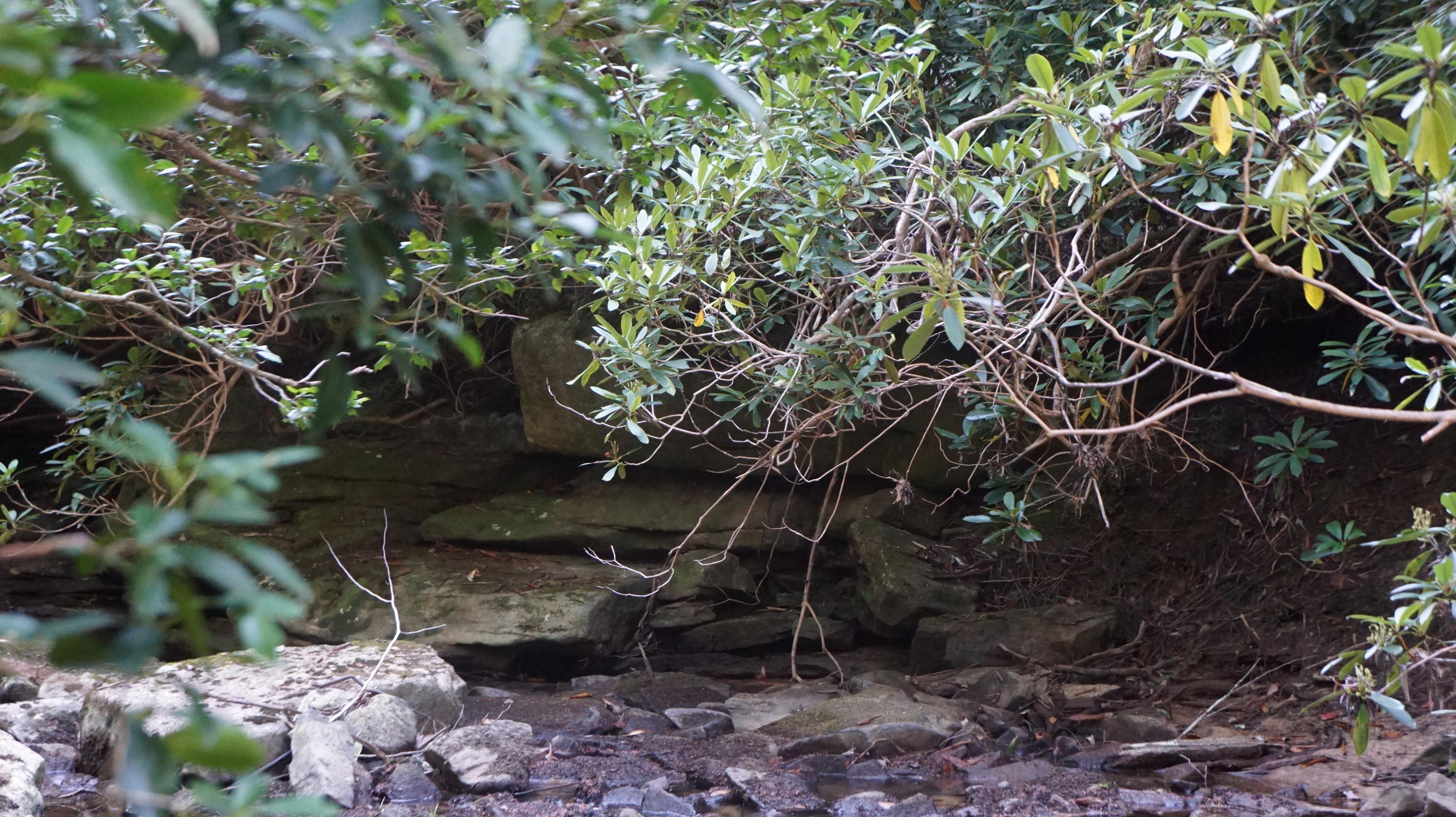 4-acres Browder Point Monterey, TN 38574 - Photo 17 of 21 Creek (7)