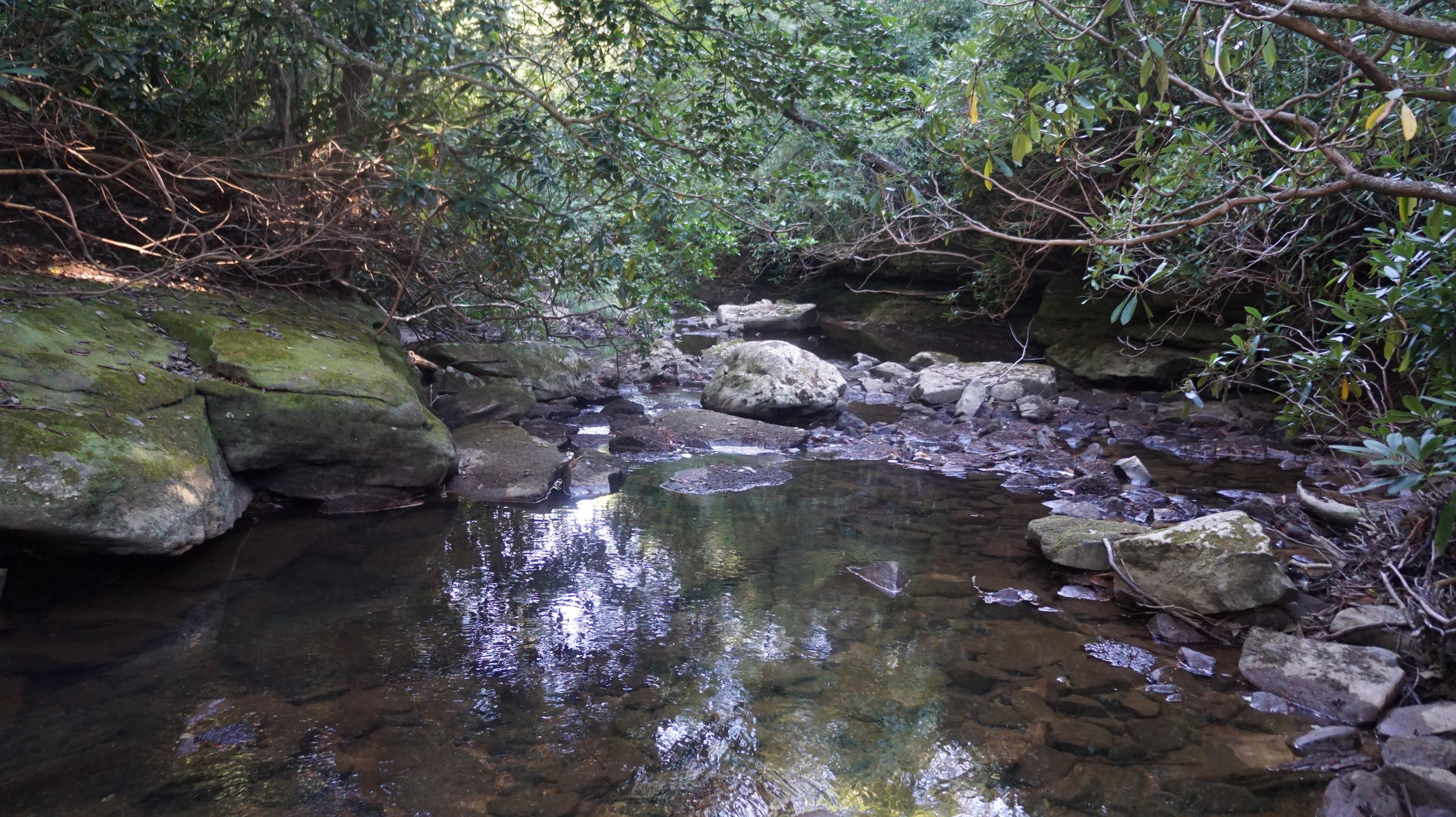 4-acres Browder Point Monterey, TN 38574 - Photo 18 of 21 Creek (8)