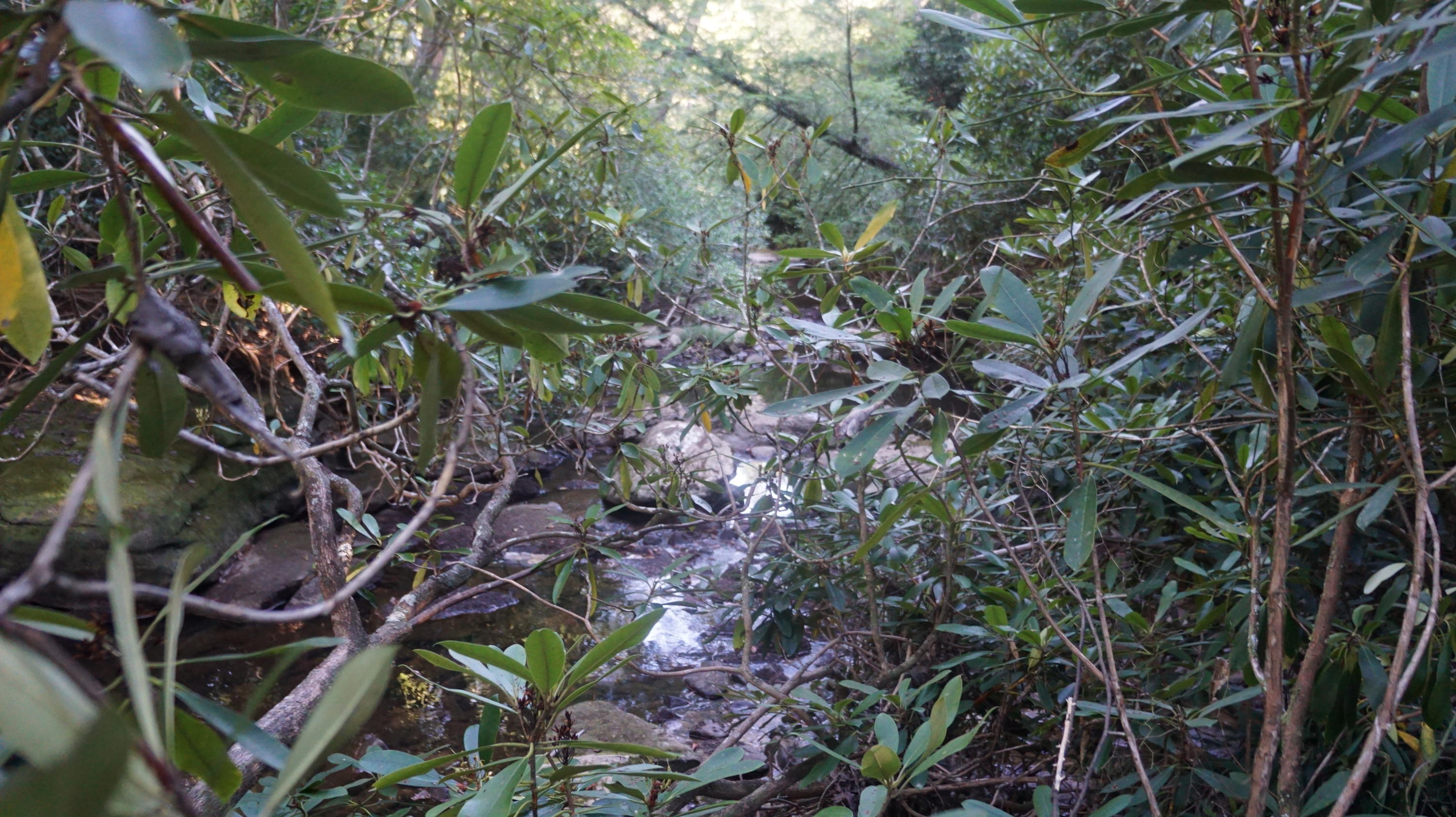 4-acres Browder Point Monterey, TN 38574 - Photo 19 of 21 Creek 2