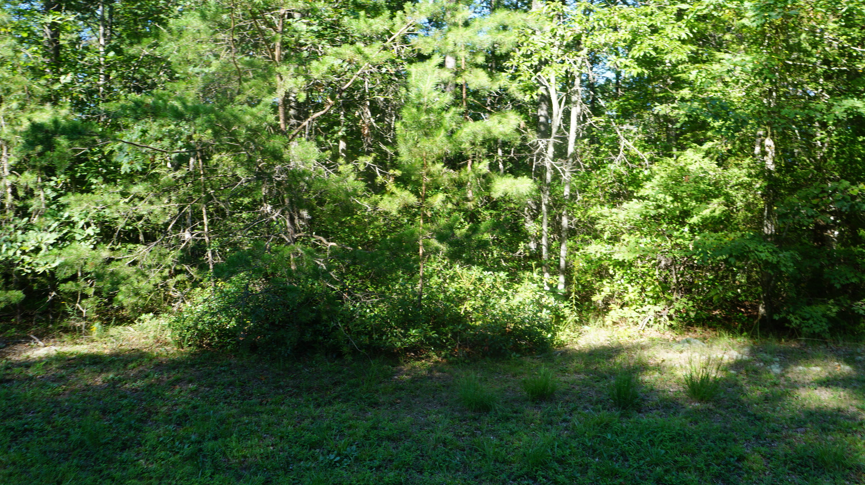 4-acres Browder Point Monterey, TN 38574 - Photo 3 of 21 Browder Point, Monterey, Tennessee