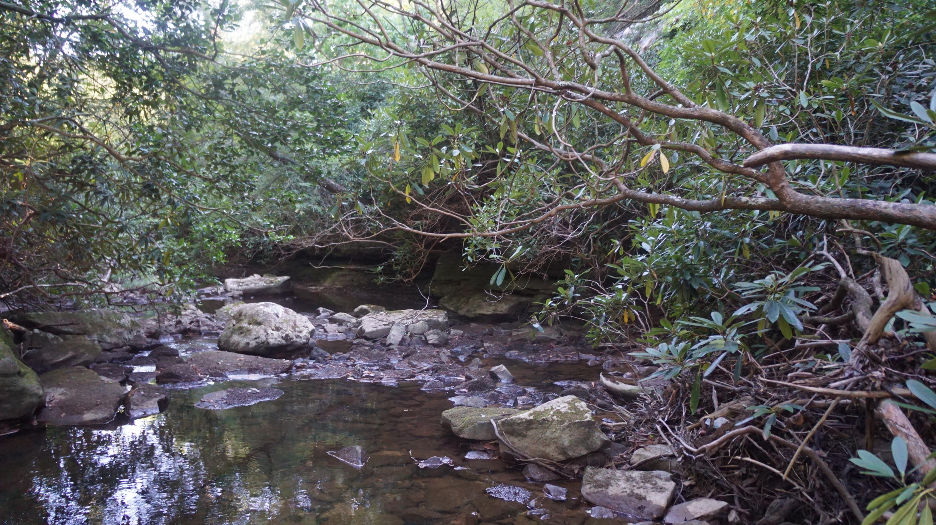 4-acres Browder Point Monterey, TN 38574 - Photo 21 of 21 Bridge Creek