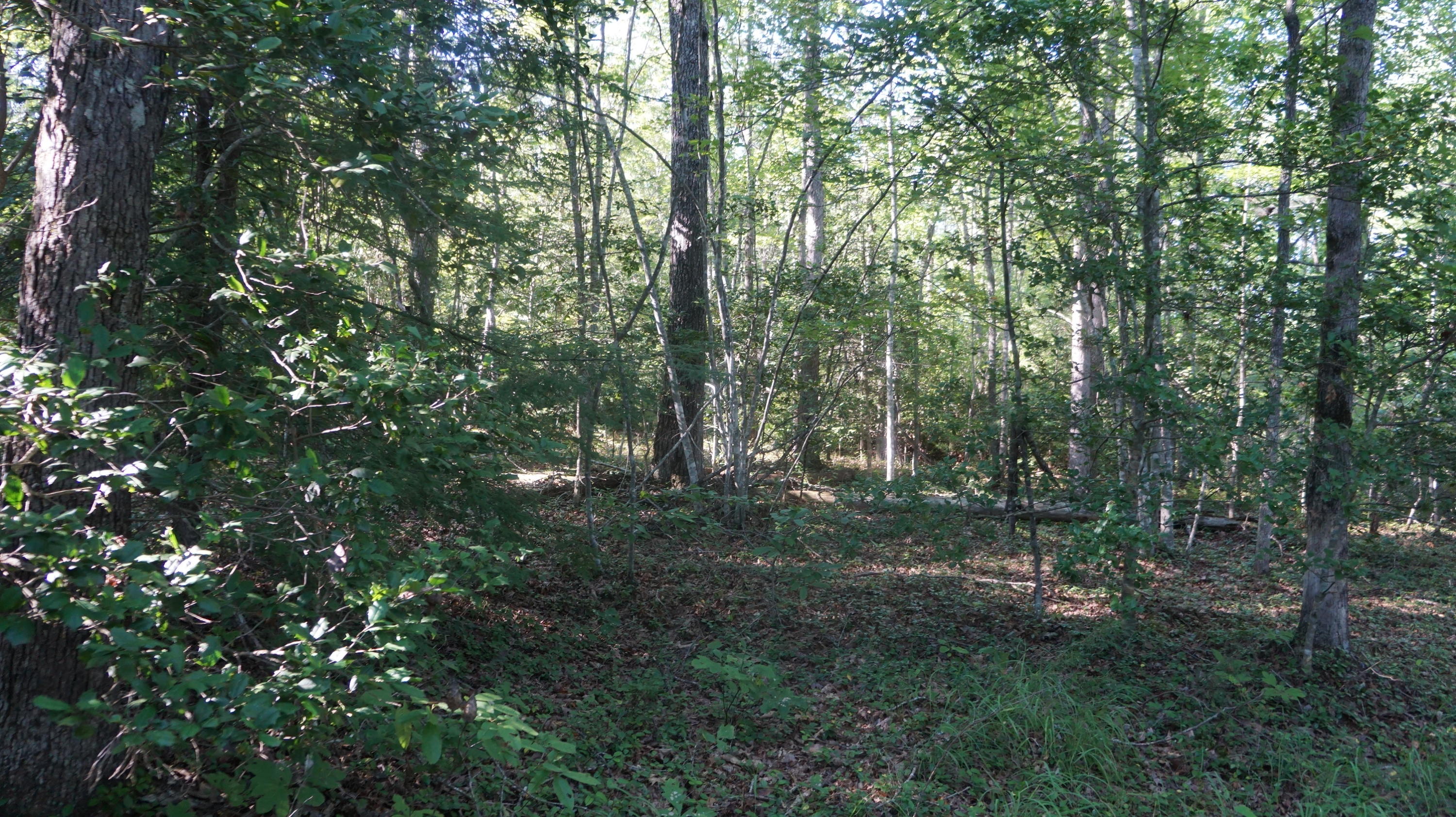 4-acres Browder Point Monterey, TN 38574 - Photo 6 of 21 Great Home Site Locations (2)