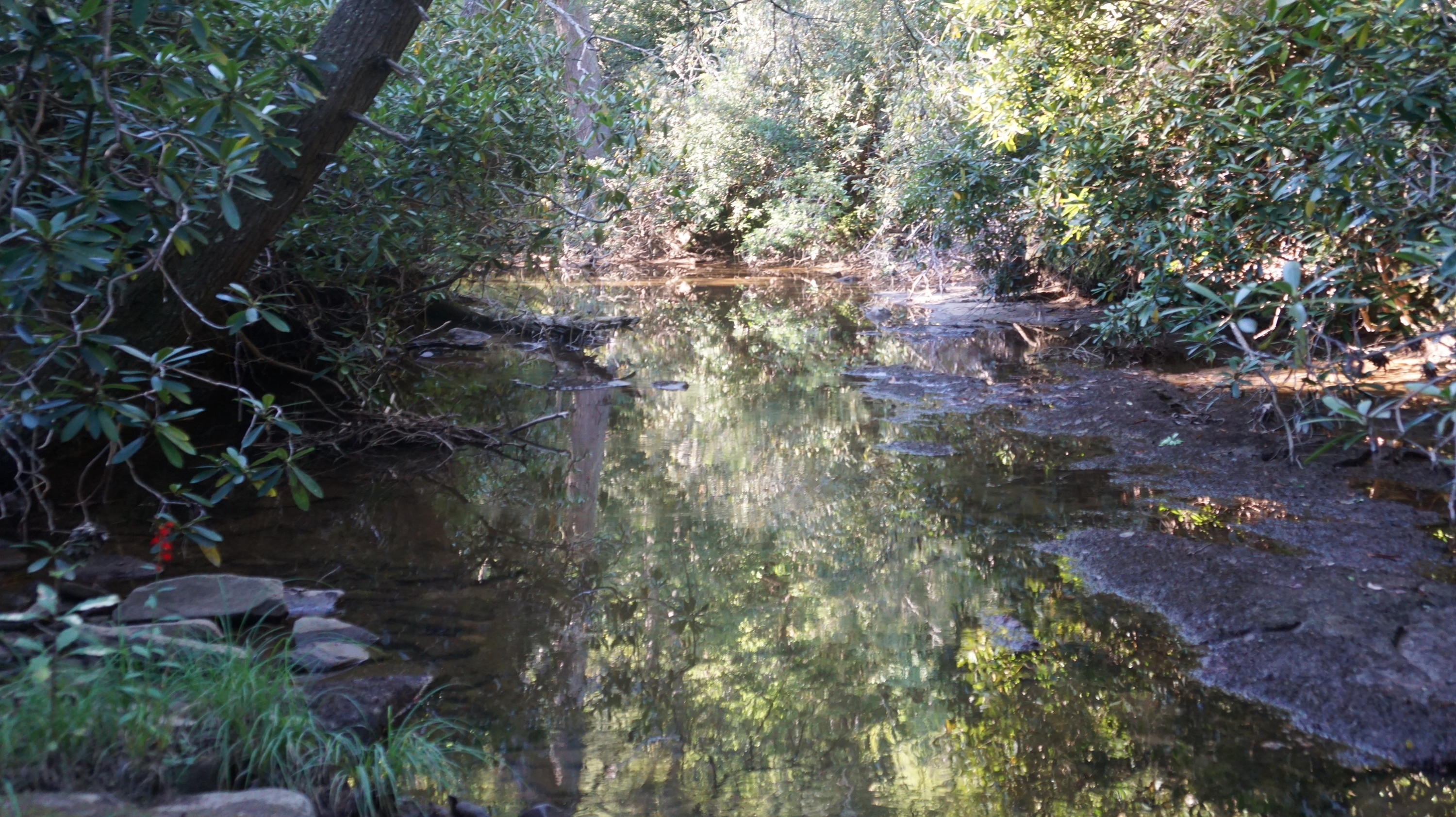 4-acres Browder Point Monterey, TN 38574 - Photo 7 of 21 Creek (4)