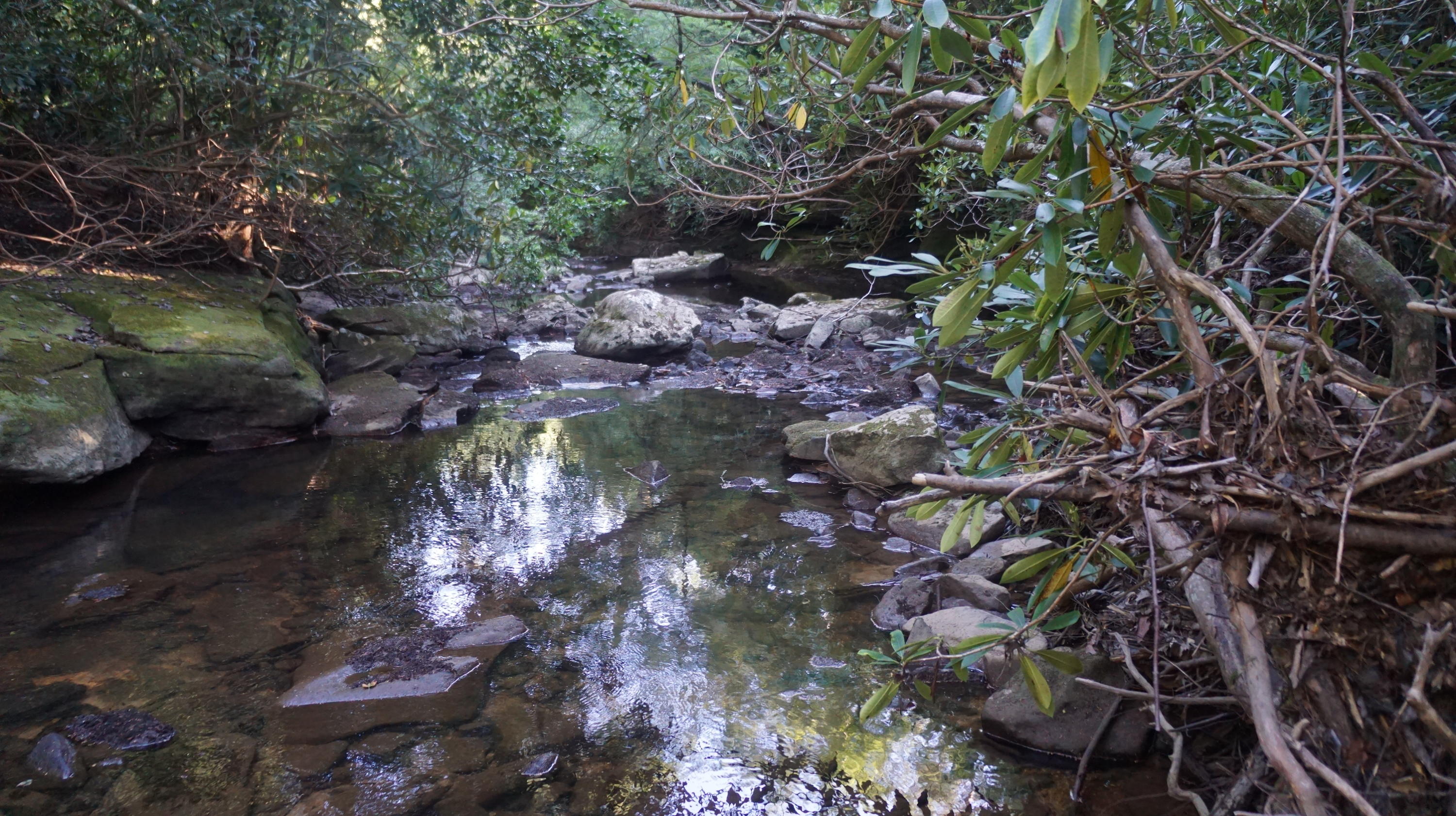 4-acres Browder Point Monterey, TN 38574 - Photo 10 of 21 Creek (2)