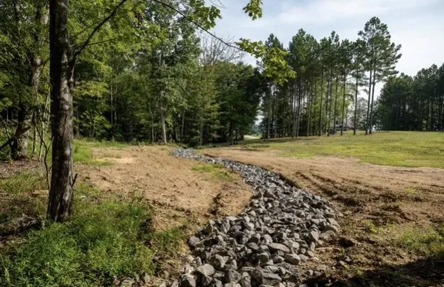 a view of a field with trees in the background