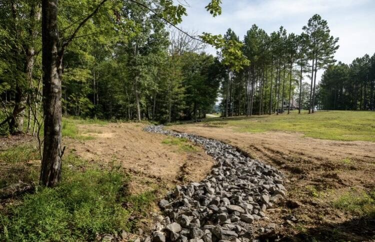 595 Compass Drive Jasper, TN 37347 - Photo 20 of 47 a view of a yard with a tree