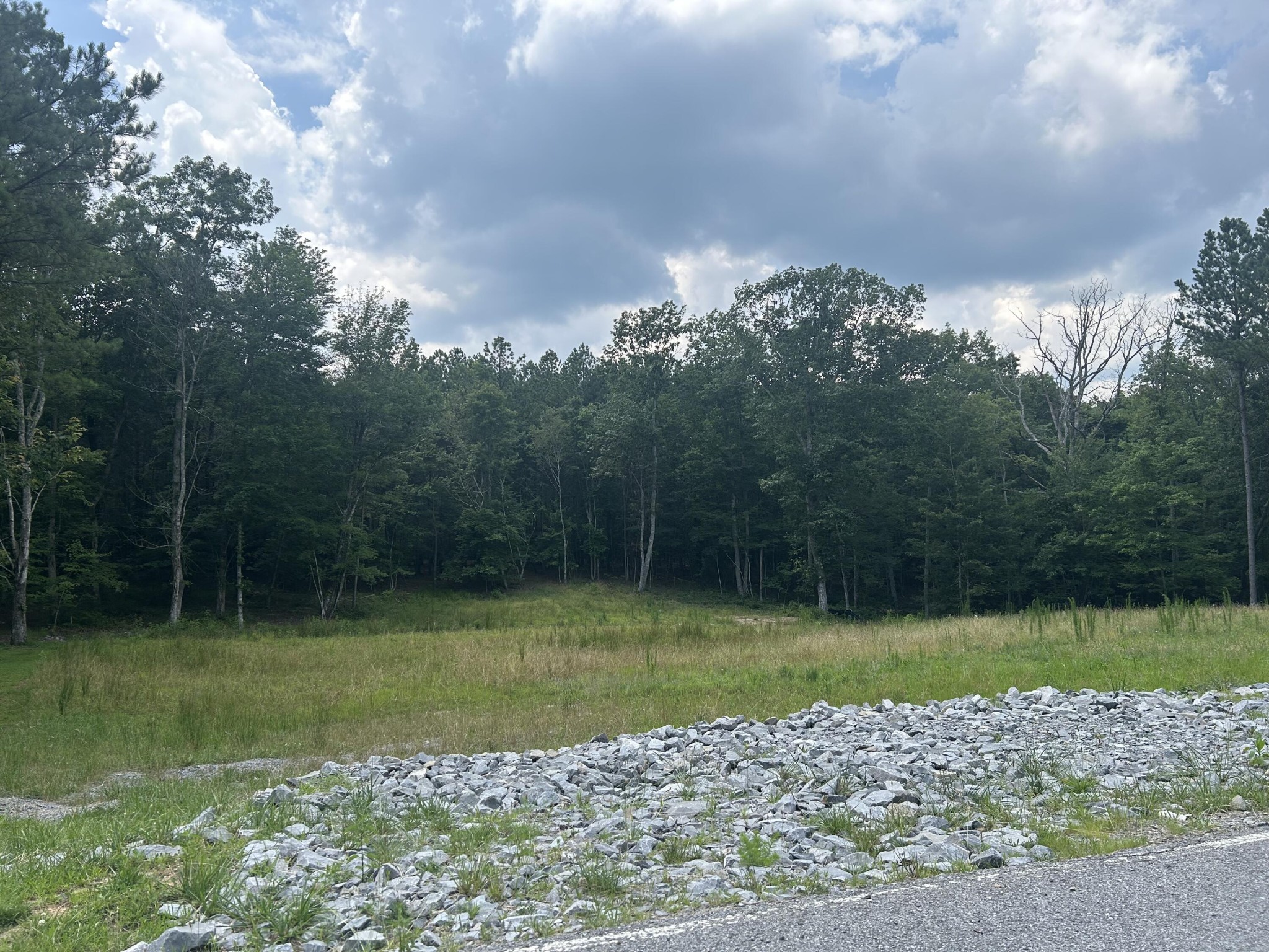 595 Compass Drive Jasper, TN 37347 - Photo 2 of 47 a view of a golf course
