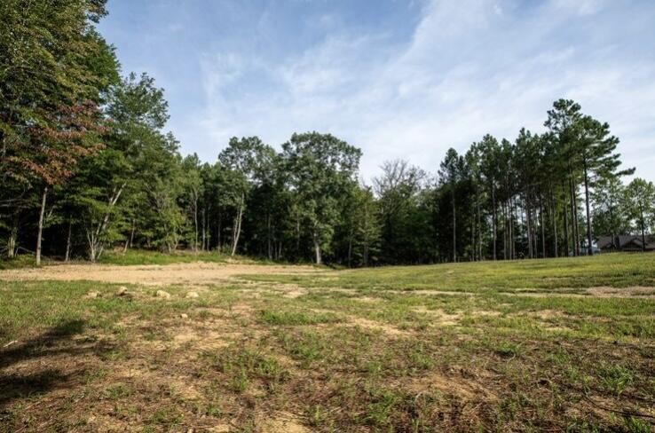 595 Compass Drive Jasper, TN 37347 - Photo 21 of 47 a view of a field with trees in the background