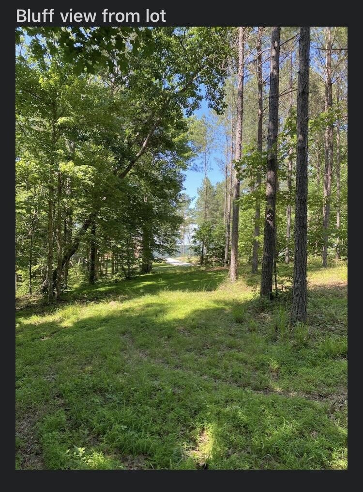 595 Compass Drive Jasper, TN 37347 - Photo 22 of 47 a view of outdoor space with trees