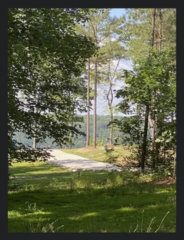 a view of a garden with plants
