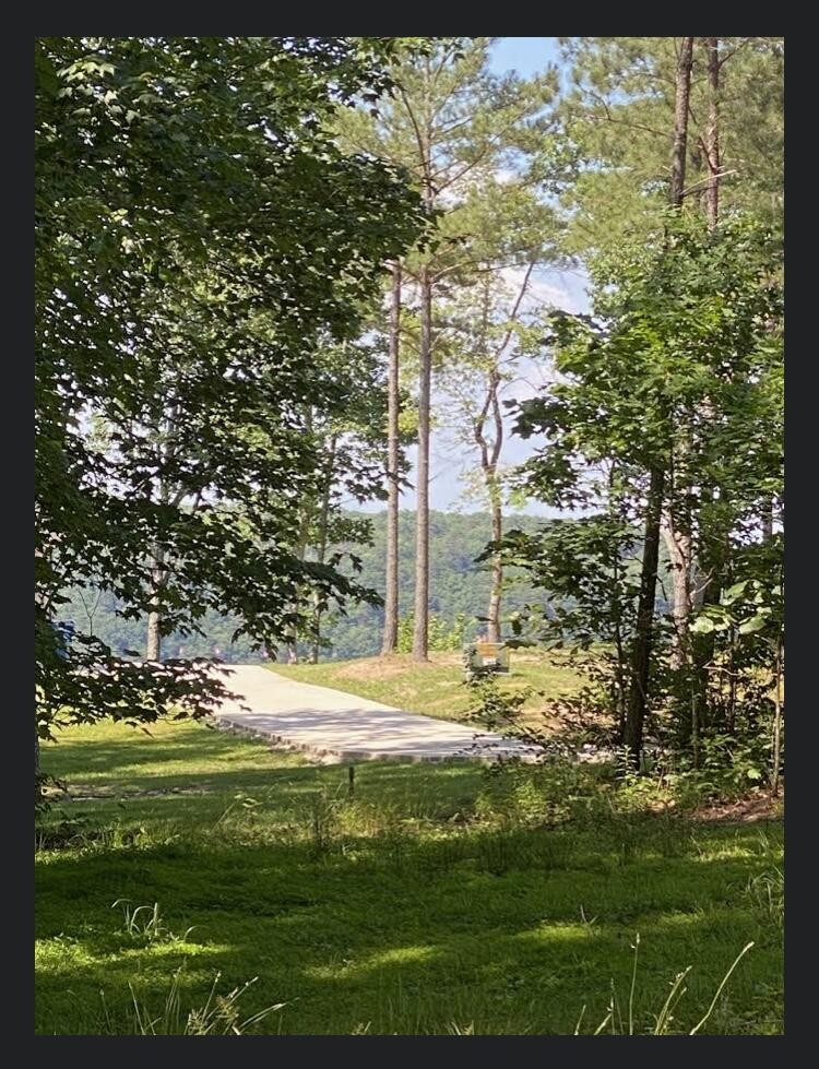 595 Compass Drive Jasper, TN 37347 - Photo 24 of 47 a view of a yard with large trees