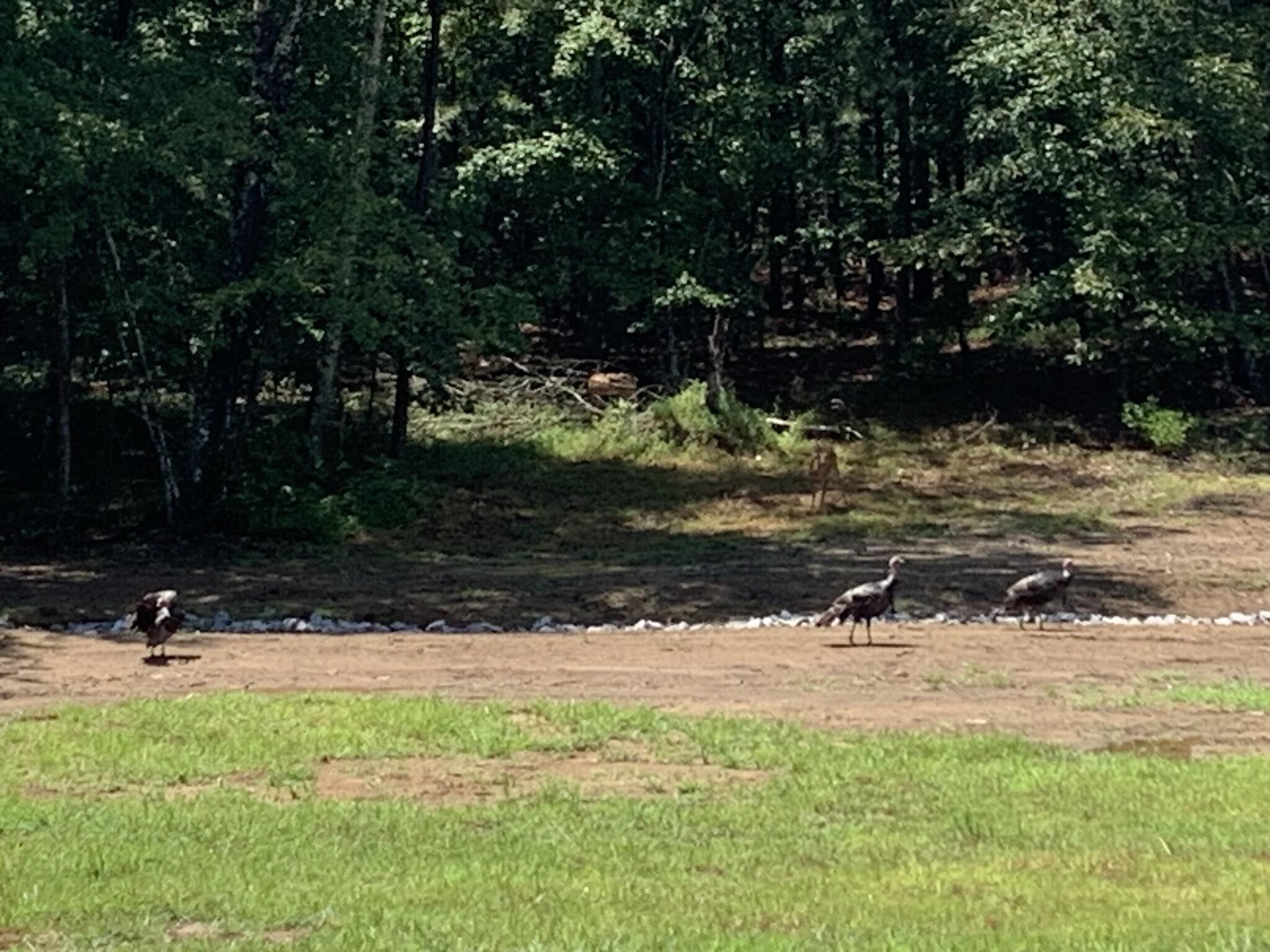 595 Compass Drive Jasper, TN 37347 - Photo 28 of 47 a view of a lake view
