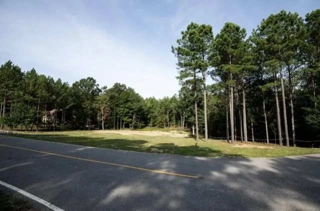 a view of a field with trees in the background