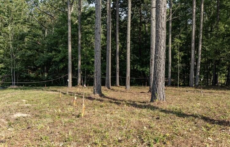 595 Compass Drive Jasper, TN 37347 - Photo 7 of 47 a view of a backyard of a house