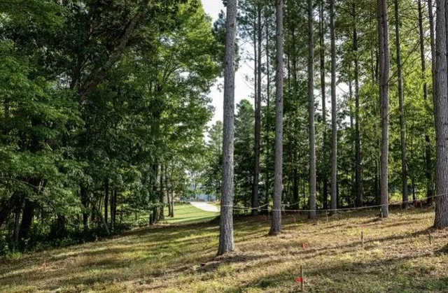 a backyard of a house with lots of green space