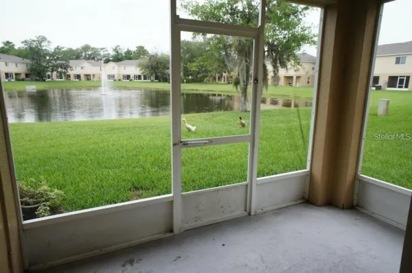 a view of a garden from a window