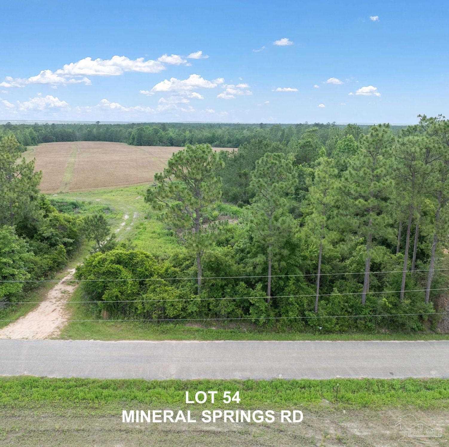 Lot 54 Mineral Springs Road Jay, FL 32565 - Photo 3 of 3