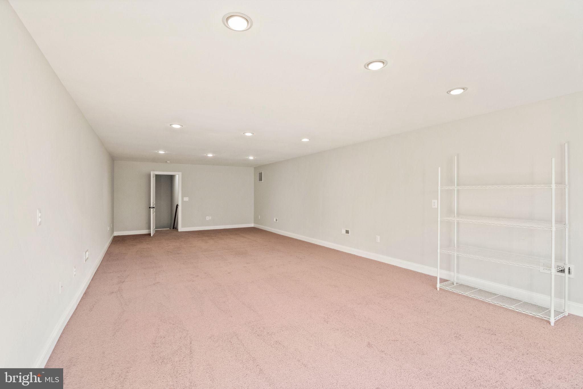 316 Storck Road Fredericksburg, VA 22406 - Photo 102 of 116 4th level- Pool table? Home Theatre?