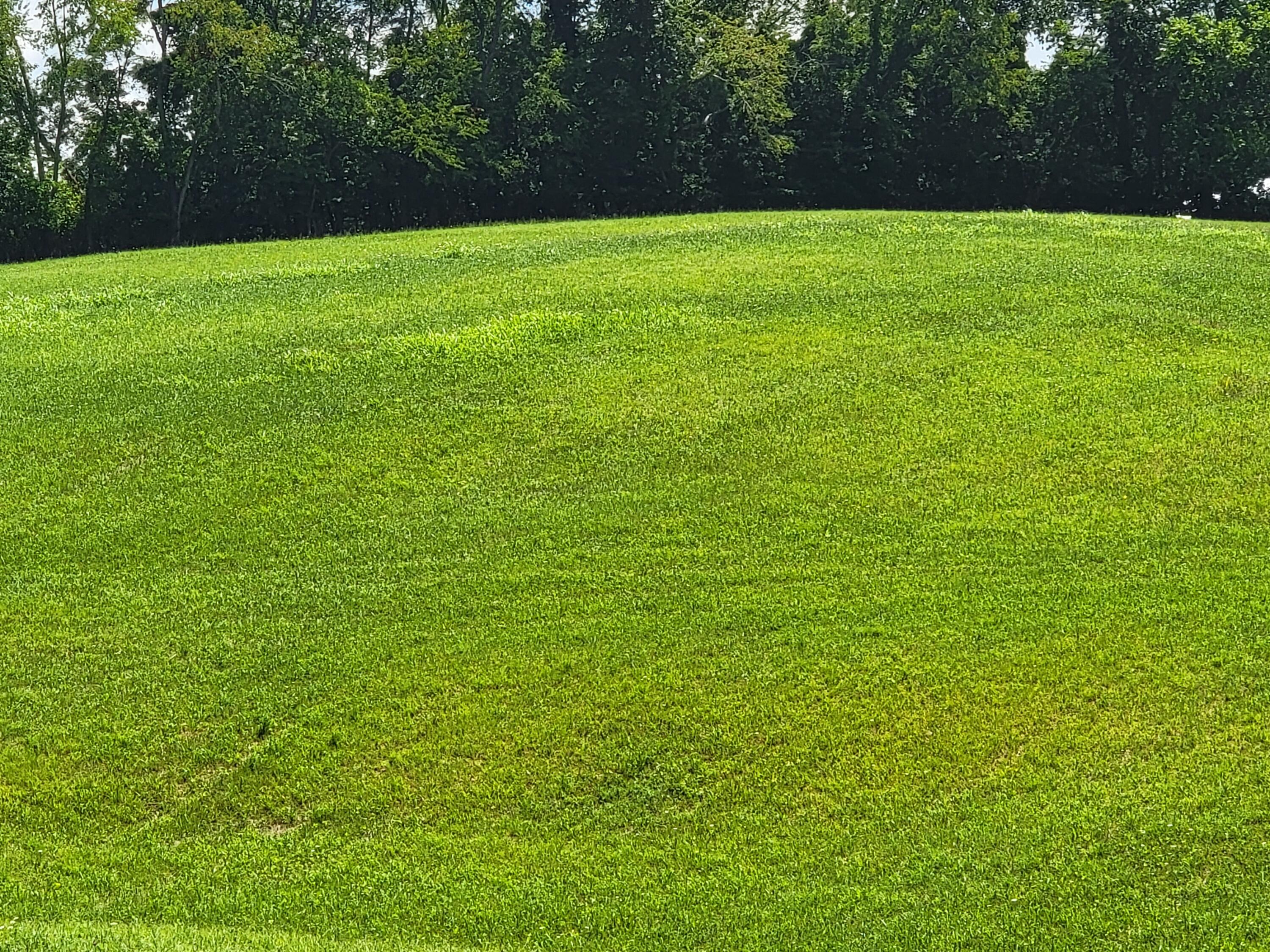 1923 Dave Buck Road, Unit 2 Johnson City, TN 37601 - Photo 11 of 11 This is the land across the street....