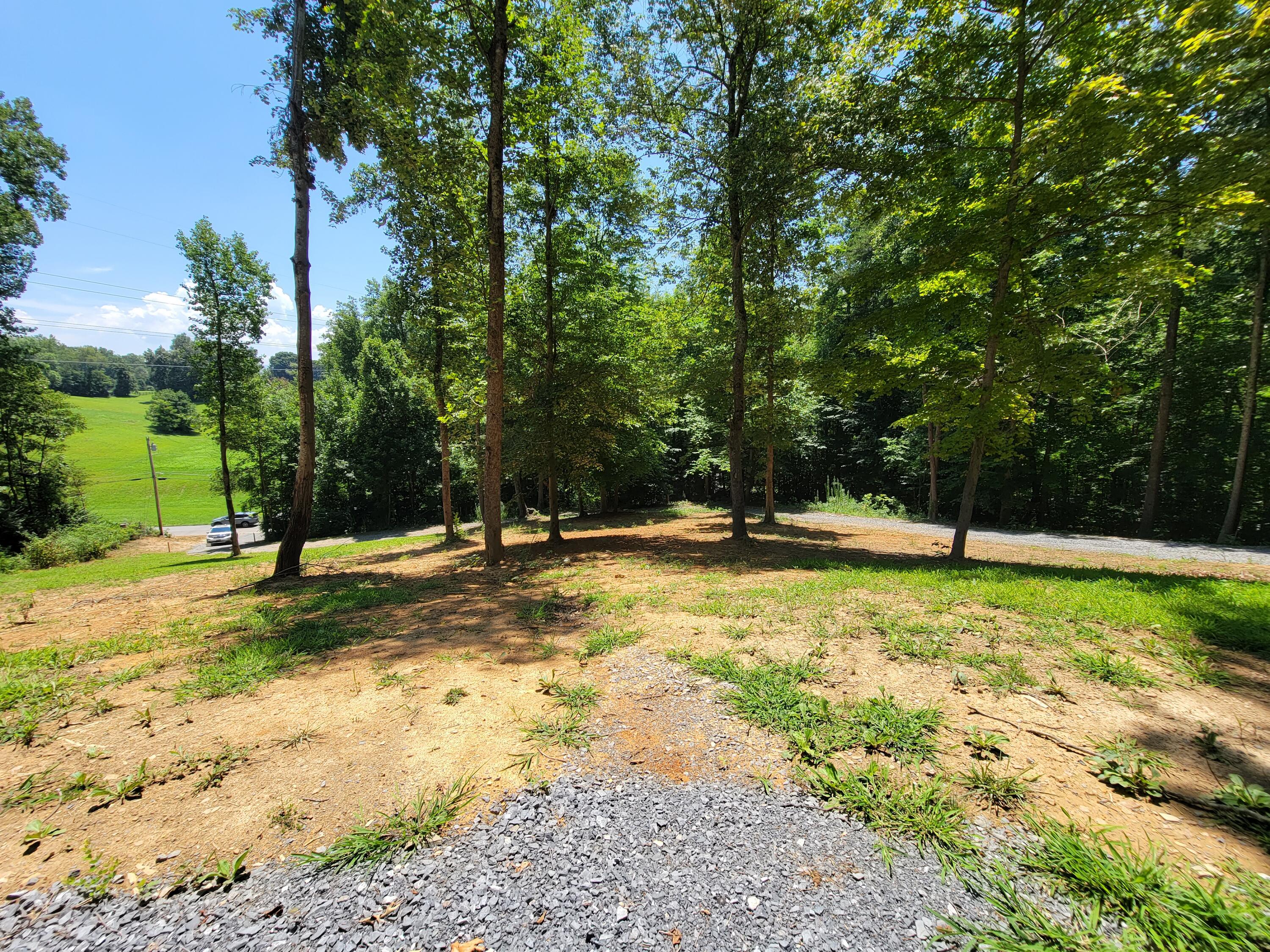 1923 Dave Buck Road, Unit 2 Johnson City, TN 37601 - Photo 10 of 11 Standing in front of RV looking at view