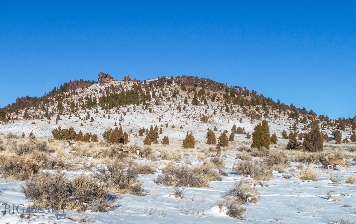 Tbd Tbd Tenderfoot Trail Ramsay, MT 59748 - Photo 1 of 1 Gallery Image 1