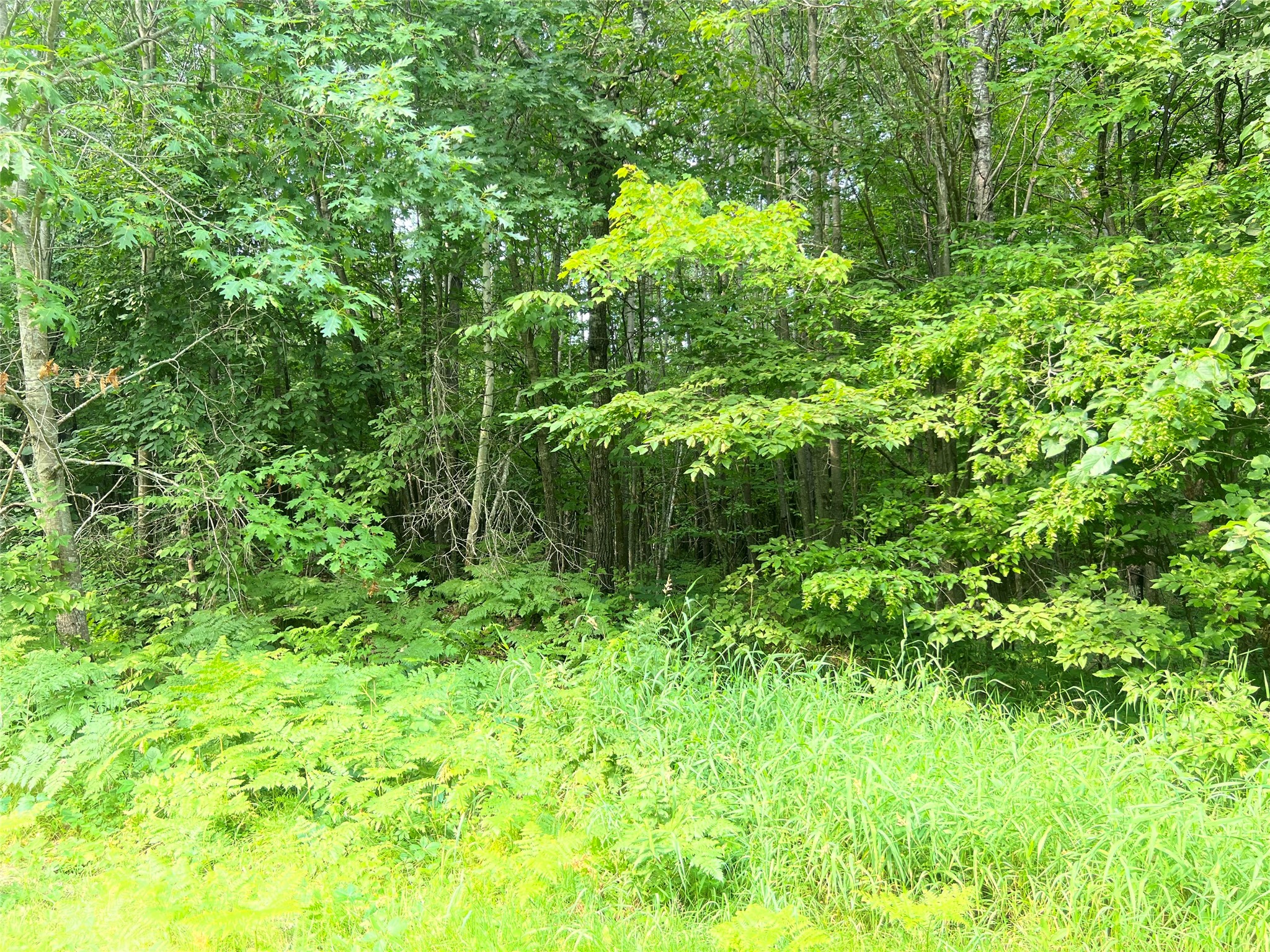 23871 Tollander Road Siren, WI 54872 - Photo 41 of 43 Gallery Image 41