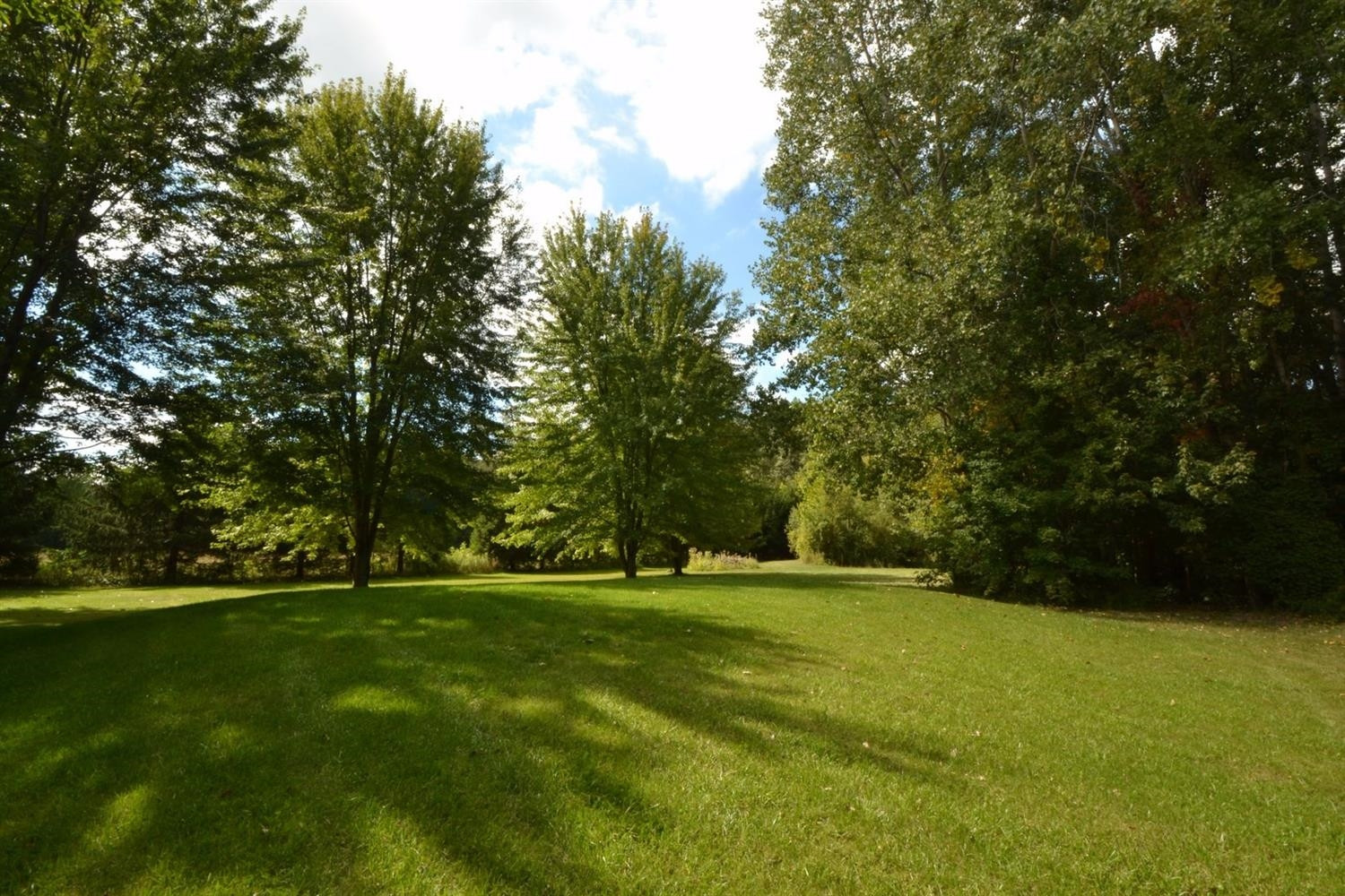 12200 Sikorski Road Willis, MI 48191 - Photo 4 of 10 Photo 4