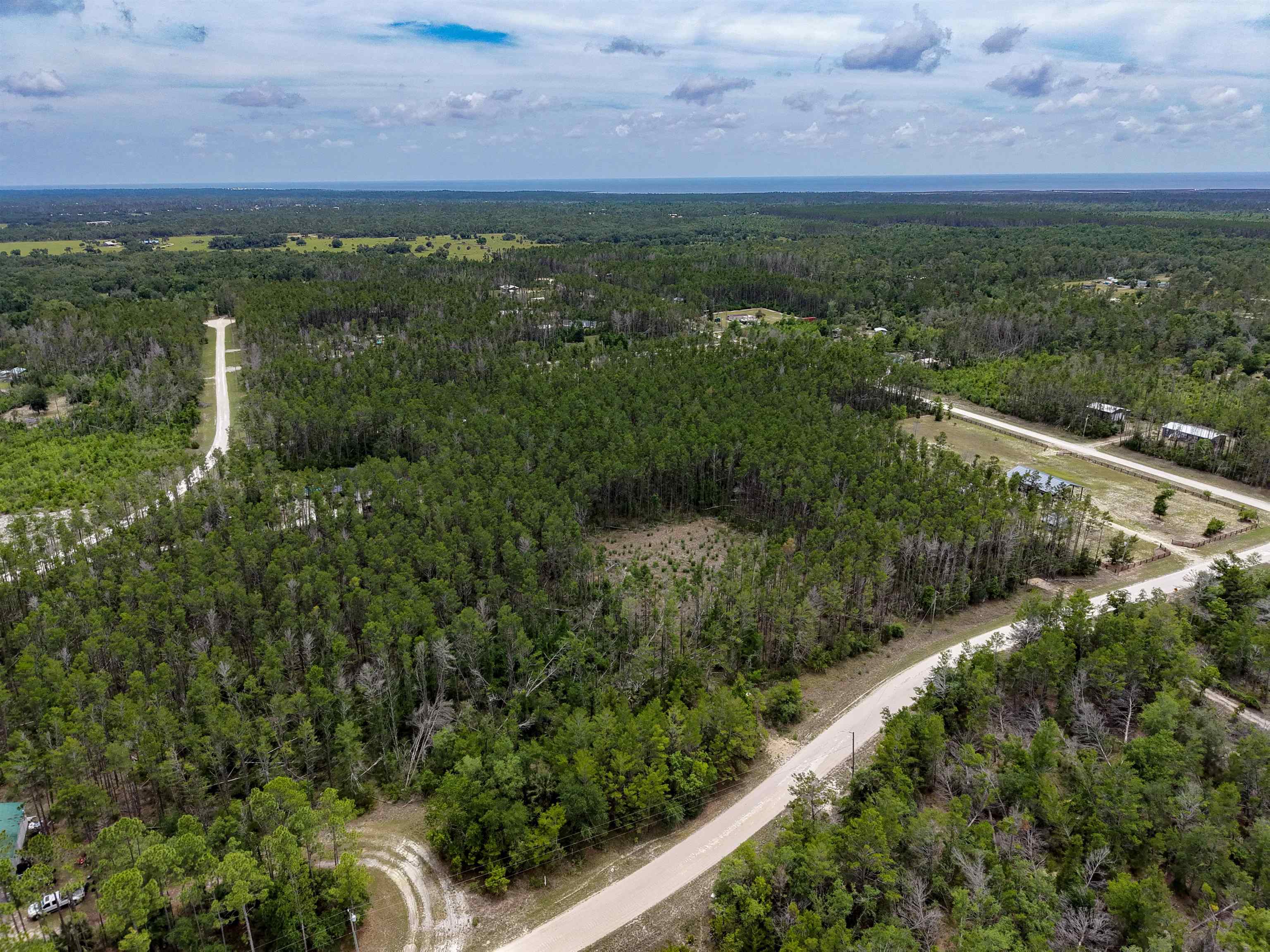 Tbd Ocean Pond Road Perry, FL 32348 - Photo 9 of 21