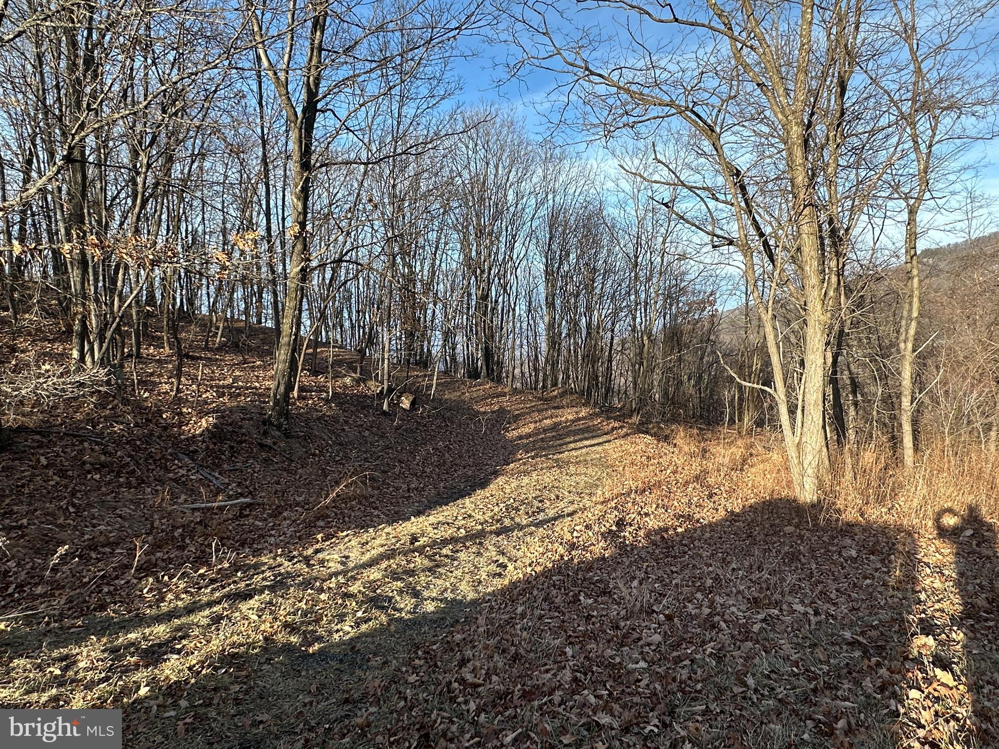 333 Nathaniel Mountain Road Moorefield, WV 26836 - Photo 25 of 65