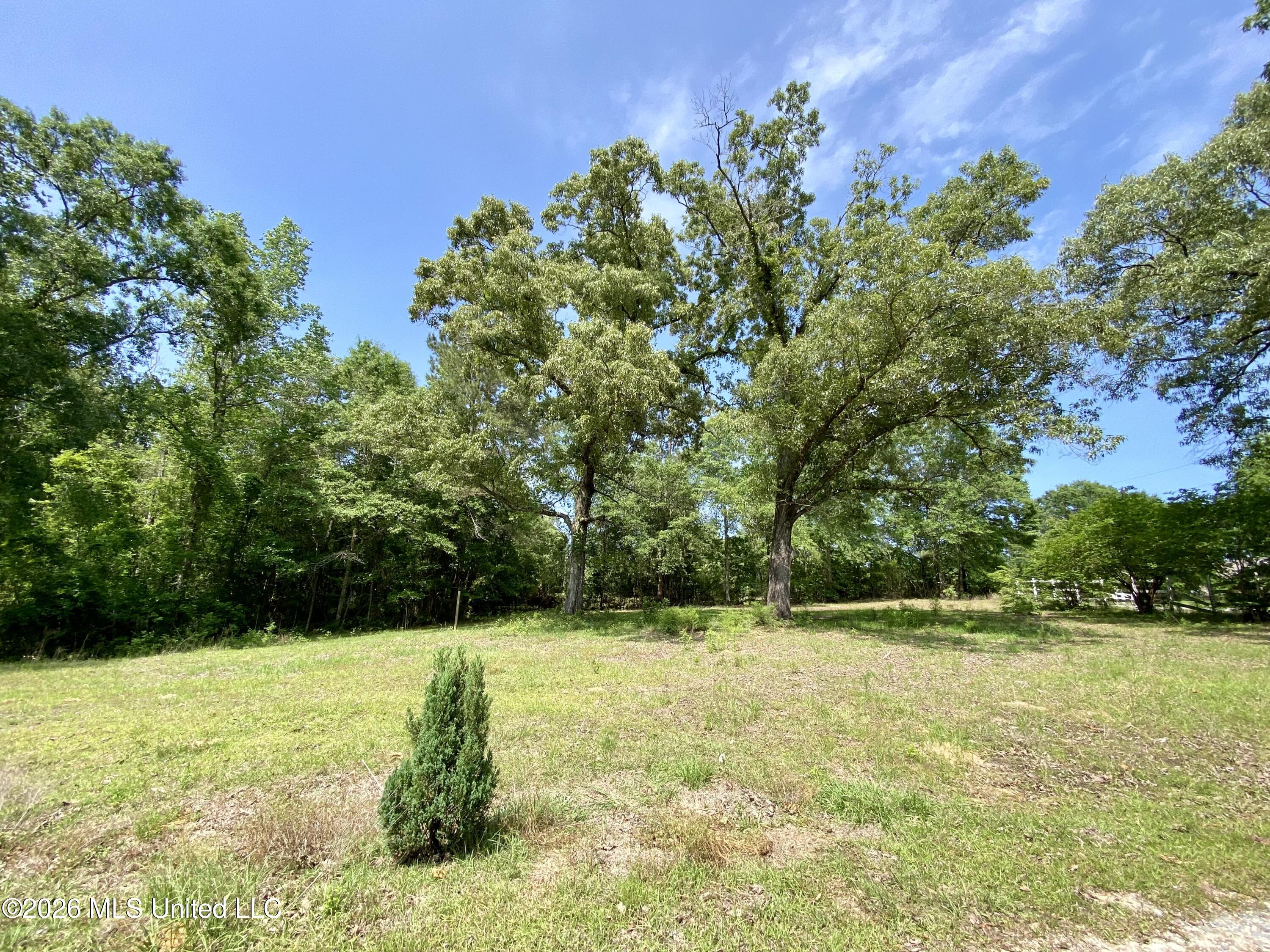 40 Clay Road Picayune, MS 39466 - Photo 33 of 33 33, IMG_9433