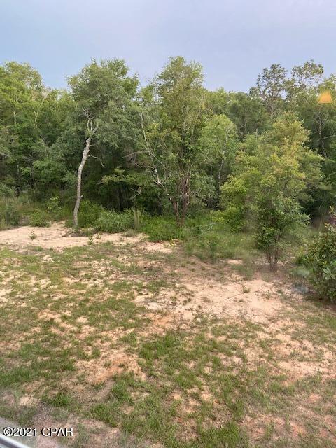 2698 Stallings Road Chipley, FL 32428 - Photo 7 of 32