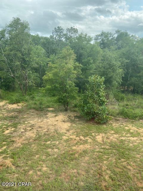 2698 Stallings Road Chipley, FL 32428 - Photo 8 of 32